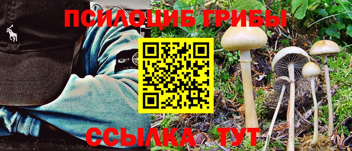 Янаул  Галлюциногенные грибы MAGIC MUSHROOMS  Вход с VPN 